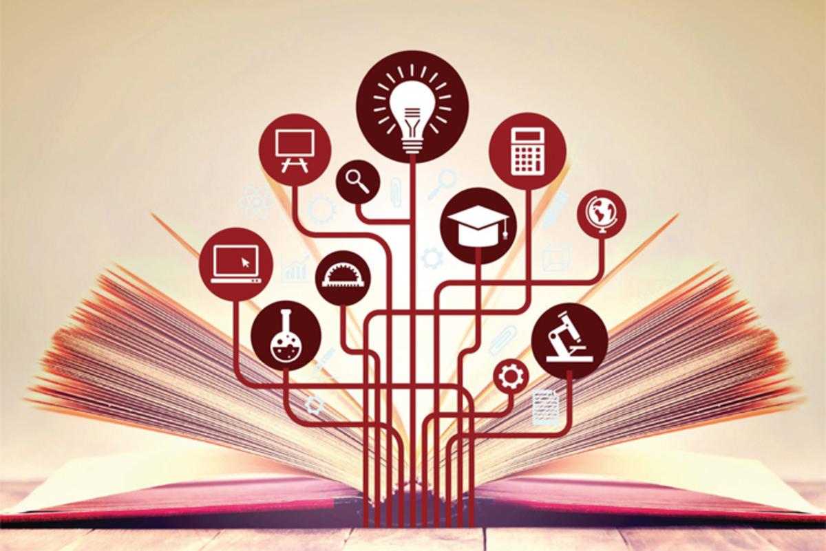 Understanding the Skills Development Levies Act (No. 9 of 1999